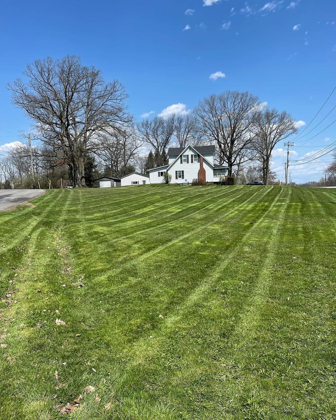 Lush green lawn with striped pattern in front of a white house under a clear blue sky.