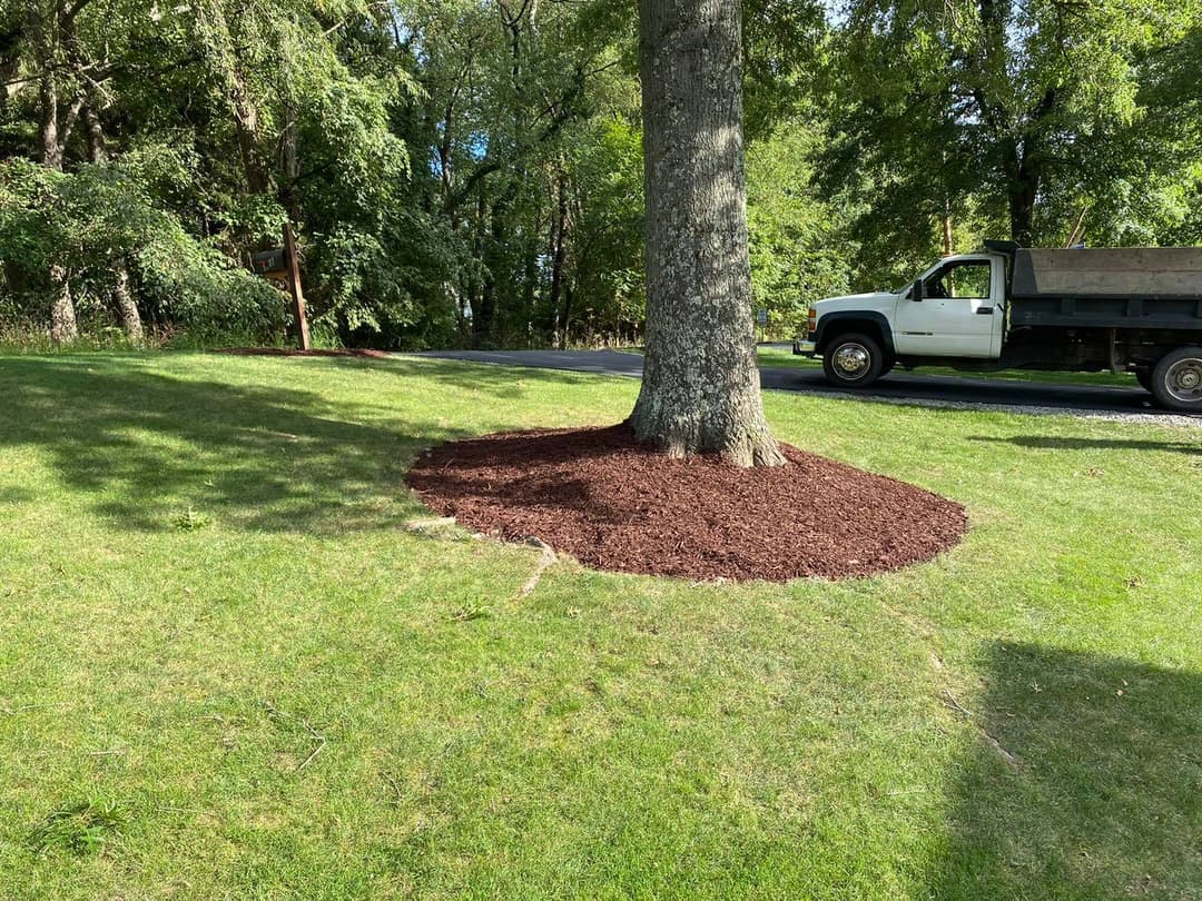 Mulch circle around a tree in a grassy yard, with a truck parked nearby on a sunny day.