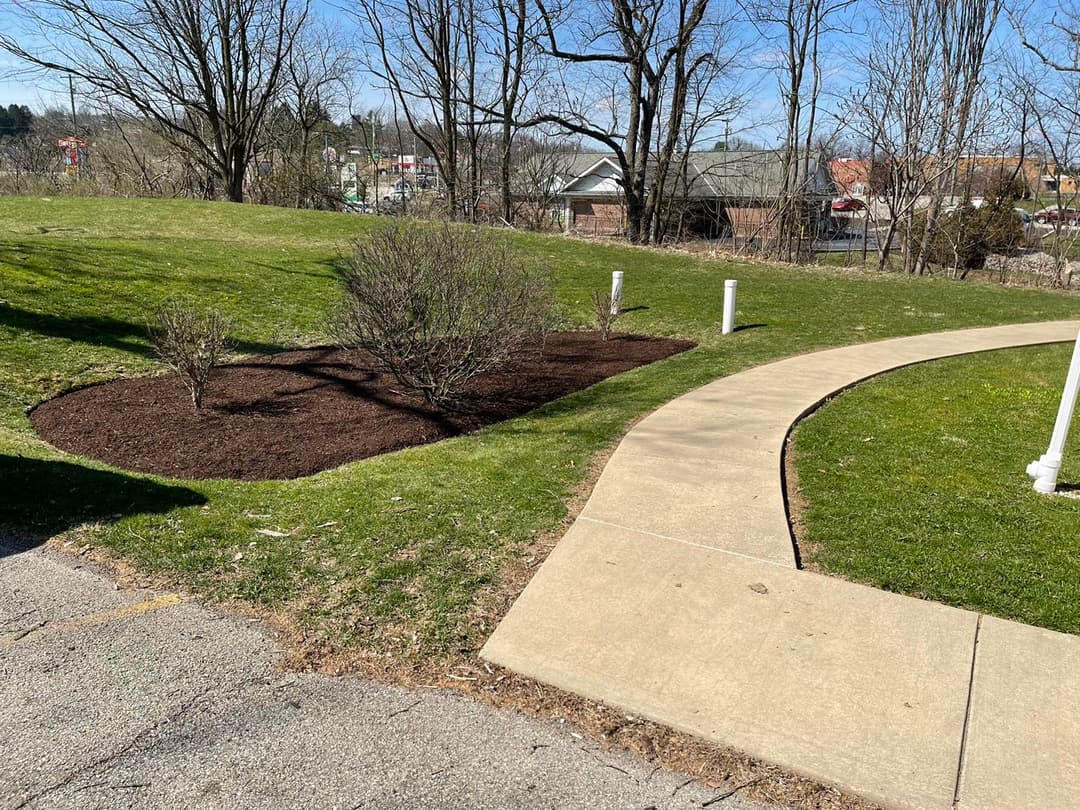 Lush green lawn with mulch beds and a curved walkway under clear blue skies.