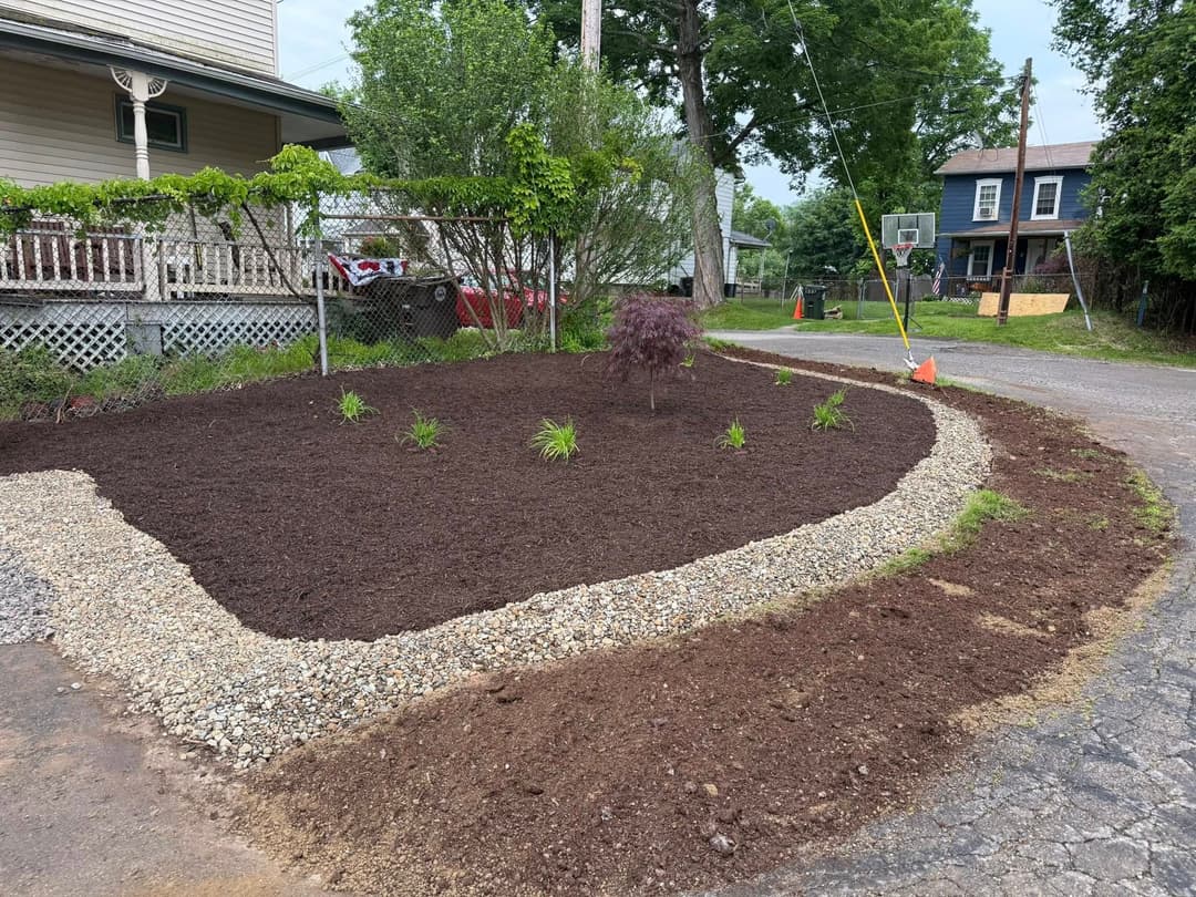 Newly landscaped garden with mulch, small plants, and decorative stone border in a residential area.