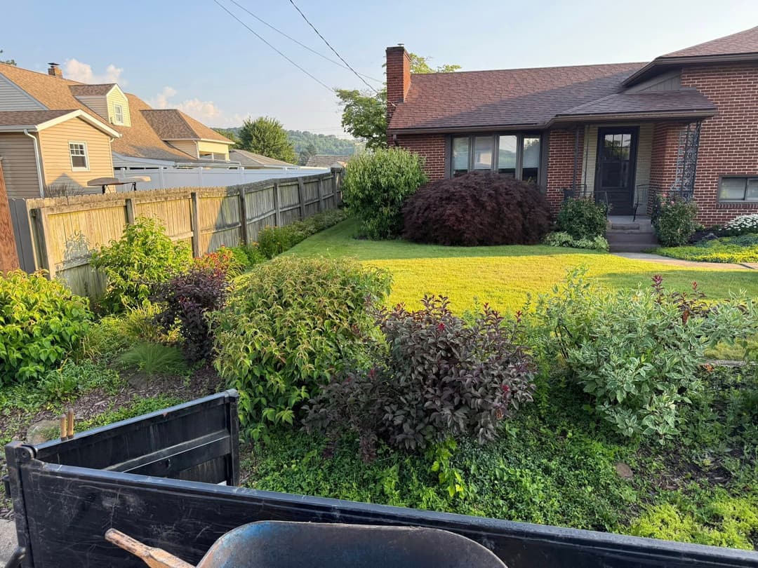 Lush green yard with shrubs, fence, and a brick house under clear sky in daylight.