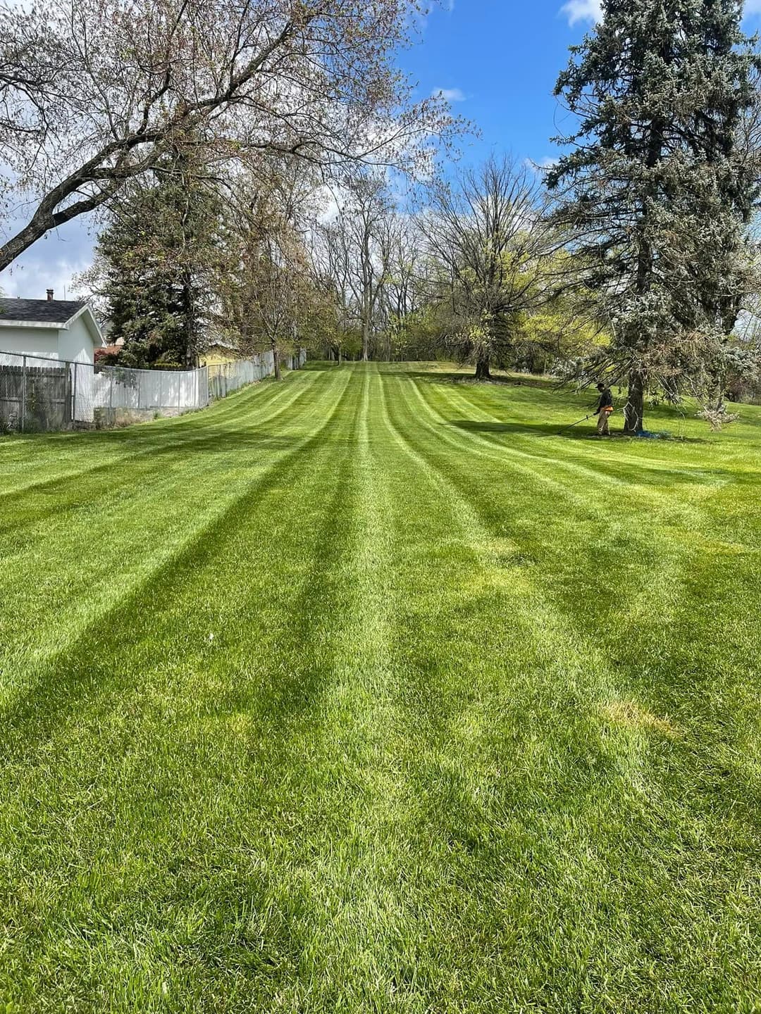 Well-manicured green lawn with striped grass and trees under a blue sky.