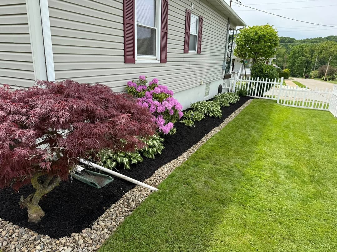 Lush landscaping with purple flowers, Japanese maple, and manicured green lawn by a house.