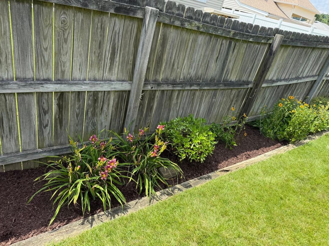 Flower bed with vibrant plants and flowers alongside a wooden fence in a sunny backyard.