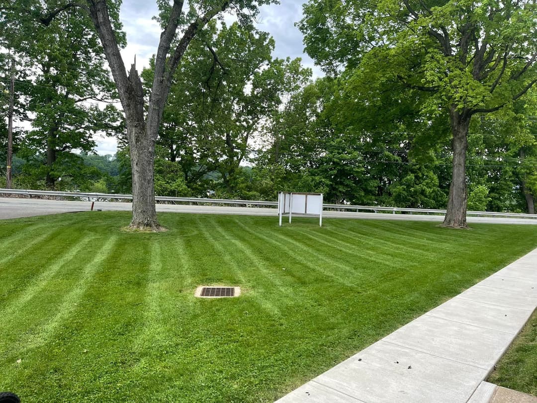 Well-manicured green lawn with striped grass and two large trees beside a sidewalk and road.