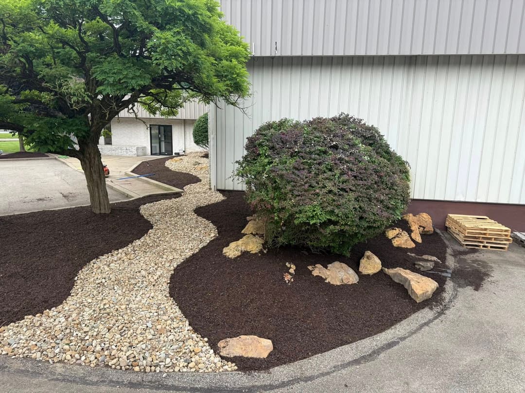 Landscape design featuring decorative stones, a tree, and lush greenery beside a building.